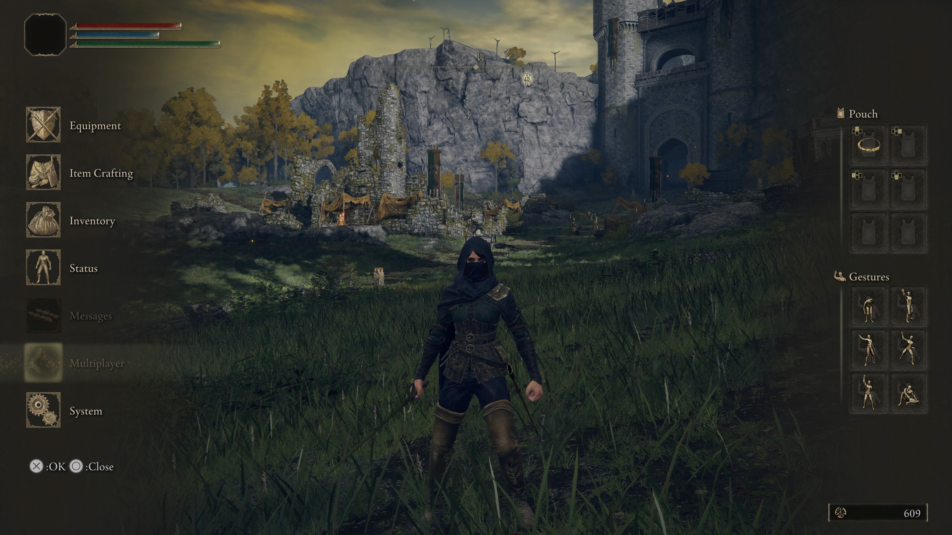 elden ring multiplayer - a character wearing a black hood stands in a green field