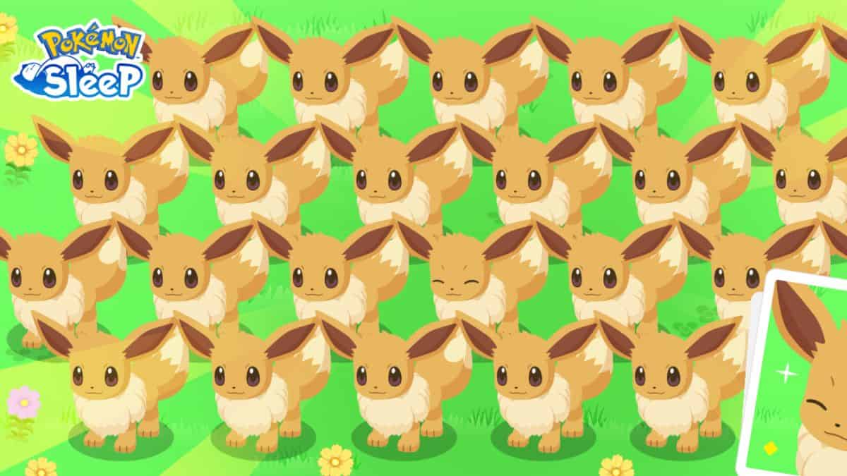 Eevee brothers | Cute pokemon wallpaper, Pokemon, Pokemon eeveelutions